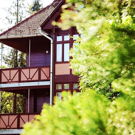Ezuestfenyo Hotel Telkibánya Extérieur photo
