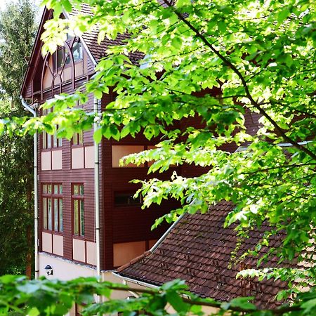 Ezuestfenyo Hotel Telkibánya Extérieur photo