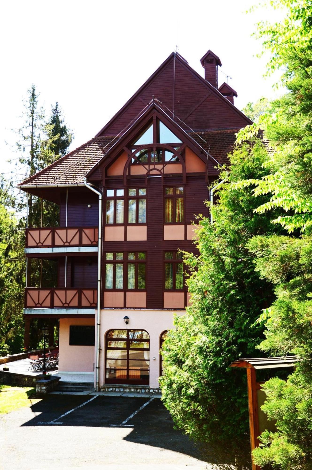 Ezuestfenyo Hotel Telkibánya Extérieur photo