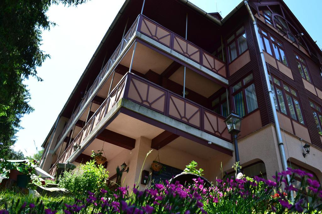 Ezuestfenyo Hotel Telkibánya Extérieur photo