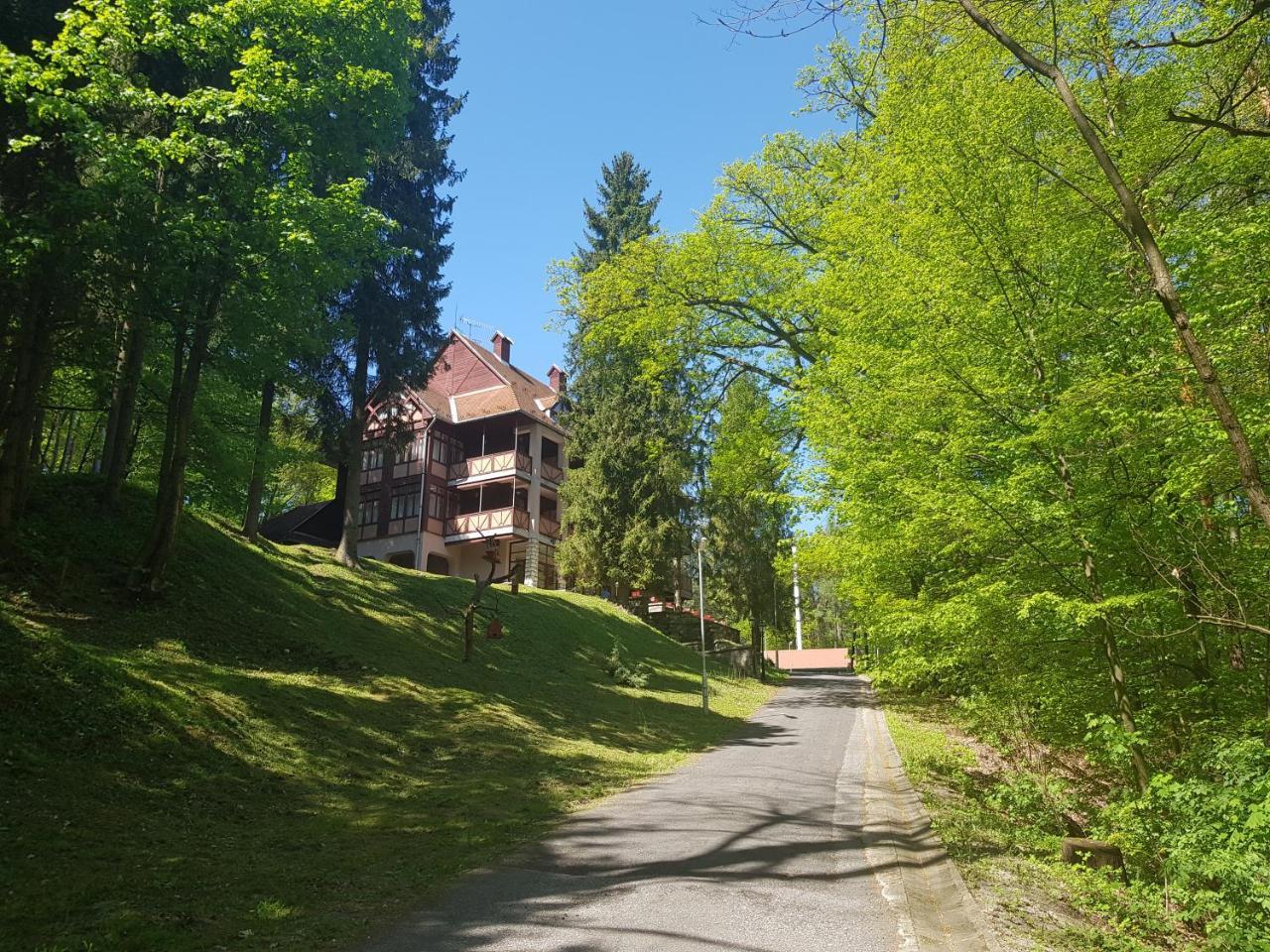 Ezuestfenyo Hotel Telkibánya Extérieur photo